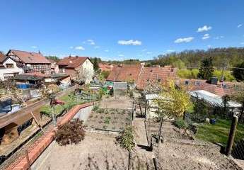 491511-Vorschaubild2