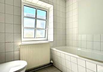493572-Vorschaubild4