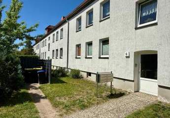 496231-Vorschaubild3