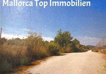 Großes Finca Grundstück im Herzen der Sonneninsel Mallorca.
