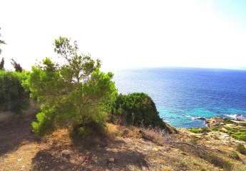 Baugrundstück First Line mit Blick auf die Bucht von Palma