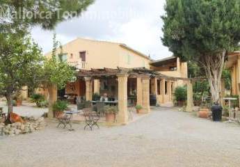 Finca-Traum mit Pferdewirtschaft und Gästevermietung - bei Montuïri
