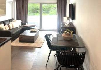 440832-Vorschaubild2