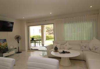 448691-Vorschaubild2