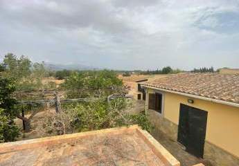 457723-Vorschaubild4