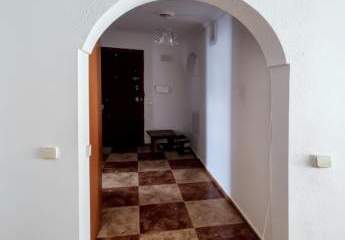 457733-Vorschaubild4