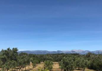 Rustikale Finca mit Pool, Weitblick und großem Obstgarten