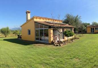 458288-Vorschaubild2