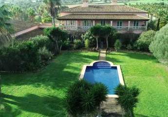 465232-Vorschaubild2