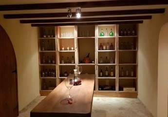 465232-Vorschaubild4