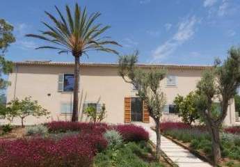 465237-Vorschaubild2