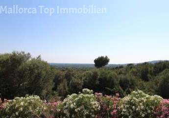 465821-Vorschaubild2