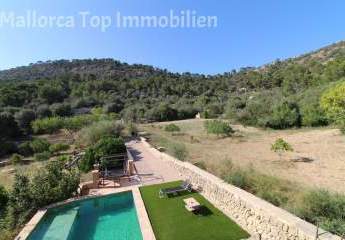 465821-Vorschaubild4