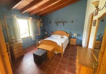 467151-Vorschaubild4