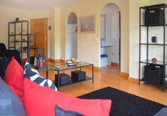 470104-Vorschaubild3