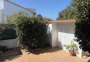 478408-Vorschaubild3