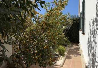 478408-Vorschaubild4