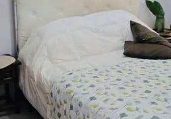 478497-Vorschaubild2