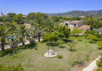 478742-Vorschaubild4