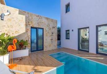 479927-Vorschaubild4