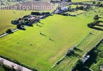 Traumhaftes Baugrundstück mit Projekt in naturverbundener Lage
