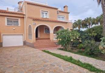 481872-Vorschaubild3