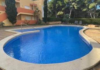 478504-Vorschaubild3