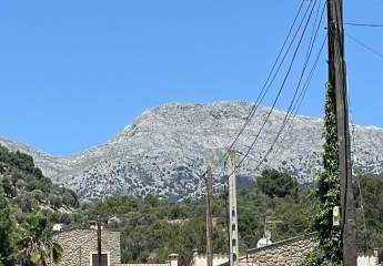 461909-Vorschaubild3