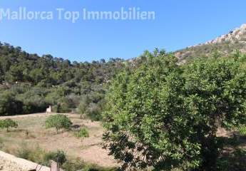 465821-Vorschaubild3