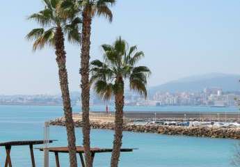 Wohnung in Portixol mit Meerblick