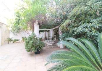 348319-Vorschaubild2