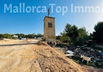 481874-Vorschaubild3