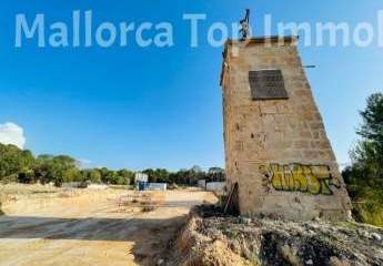 481874-Vorschaubild4