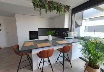 481875-Vorschaubild4