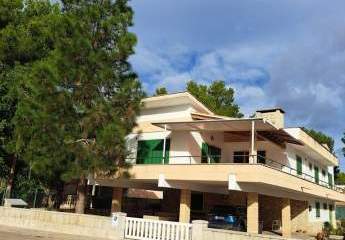 411352-Vorschaubild2