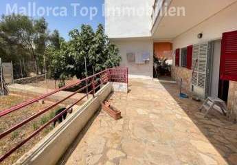 348287-Vorschaubild3