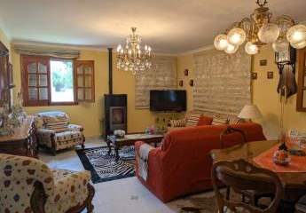 431308-Vorschaubild3