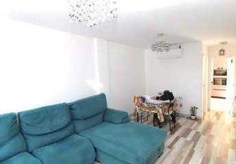 479920-Vorschaubild3