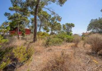 Exklusives Baugrundstück mit Meerblick in Cala Vinyes