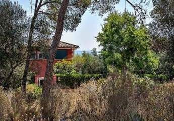 402782-Vorschaubild2