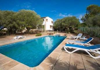 441814-Vorschaubild2