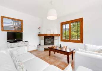 481877-Vorschaubild3