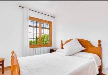 481877-Vorschaubild4