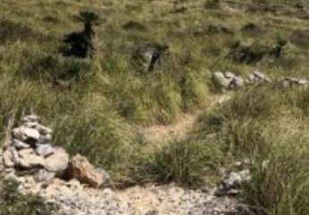 Finca mit grossem Grundstück in Artà