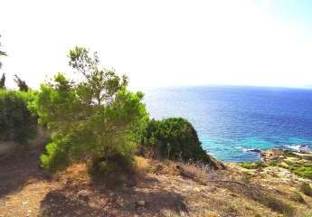 Baugrundstück First Line mit Blick auf die Bucht von Palma