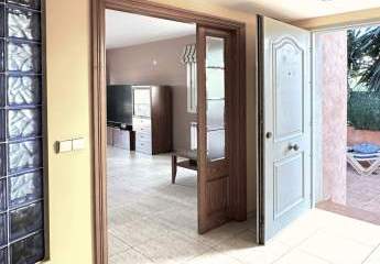 481915-Vorschaubild4