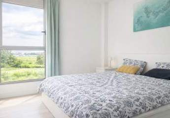 482087-Vorschaubild3