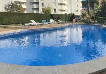 483897-Vorschaubild2