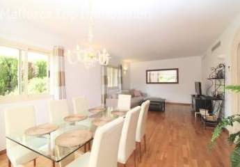 483898-Vorschaubild4