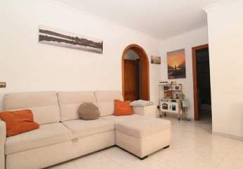 484081-Vorschaubild3